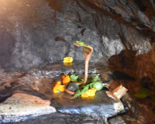 KIRTINAGAR SHIBIR - 2023